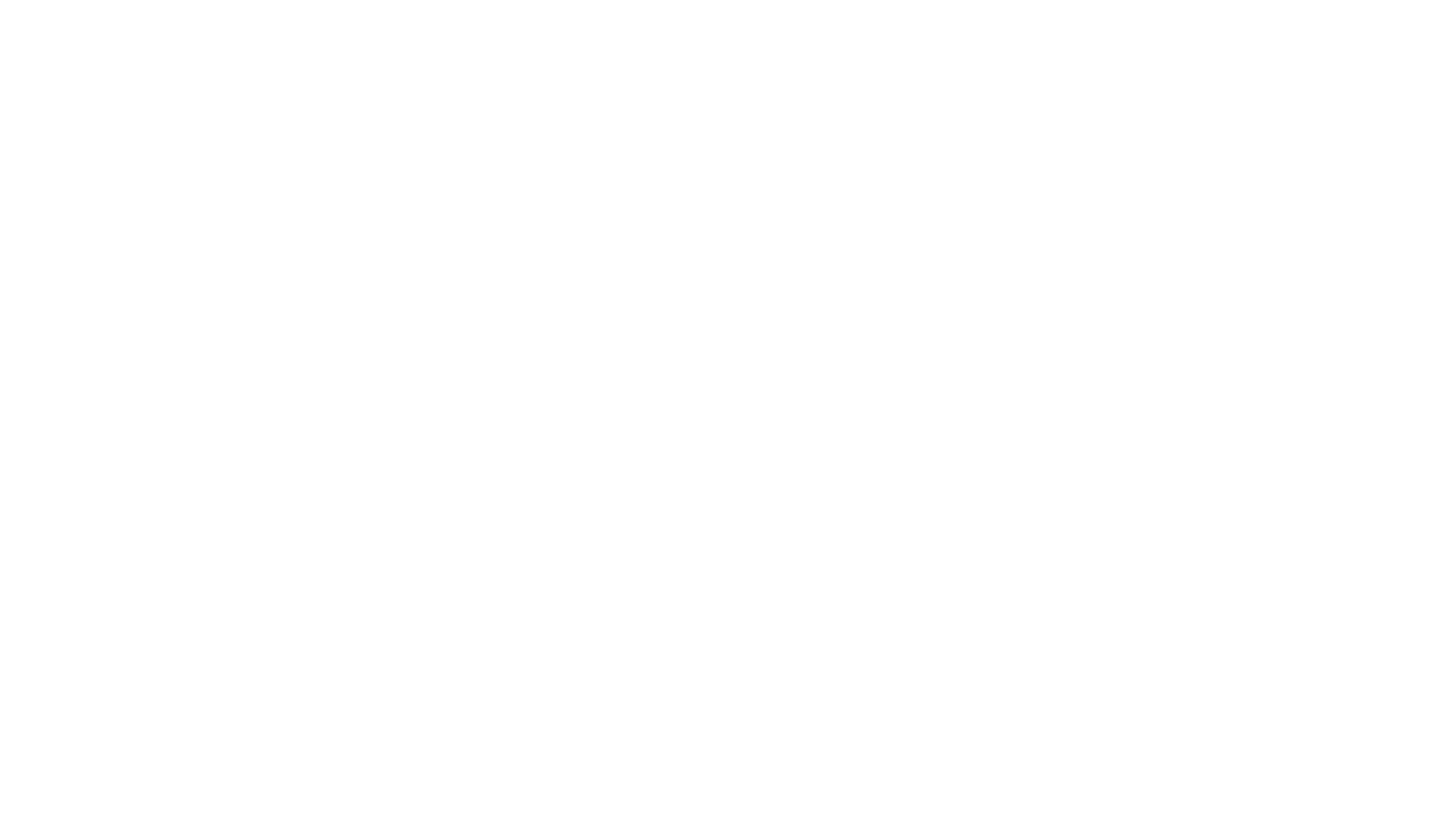 baltik logo big
